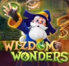 Wizdom Wonders